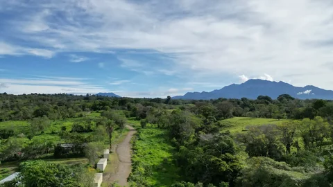 Location & Surroundings