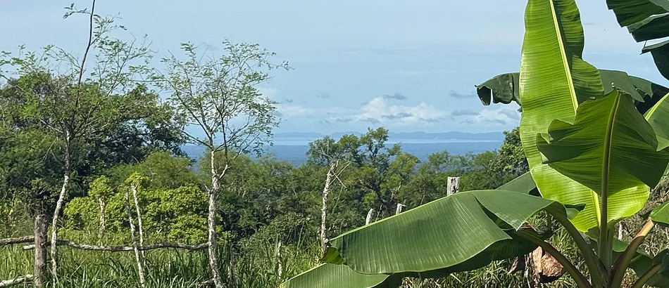 Parcelas Disponibles