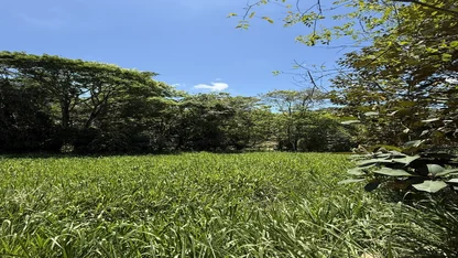 3B